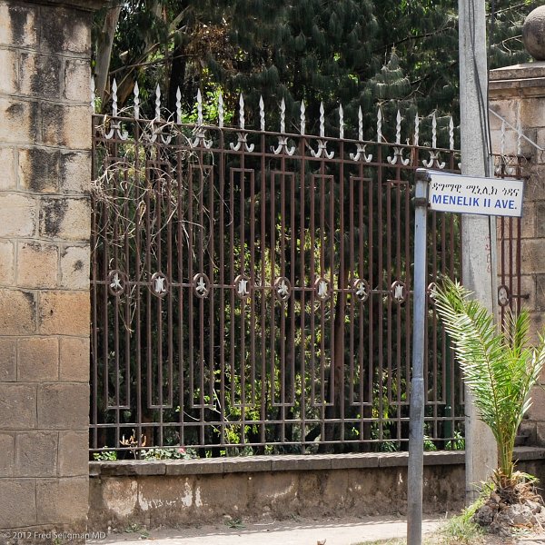 20120327_135459 Nikon D3S 2x3.jpg - The decorative railing of the Presidential Palace on Menelik II Ave